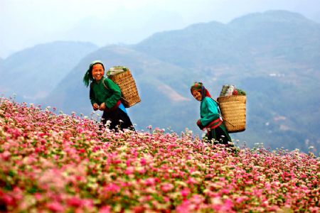 Dong Van, Ha Giang